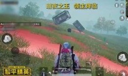 关于和平精英最新的爆料,全新玩法与神秘武器即将亮相